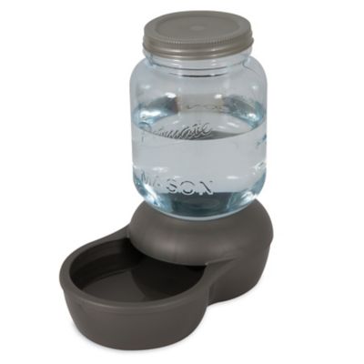 Image showing  Mason Jar Gravity Waterer, 1 gal.