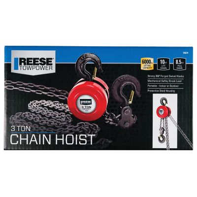 Image showing  3 Ton Capacity 10 ft. Lift Chain Hoist, 8.5 ft. Pull Chain