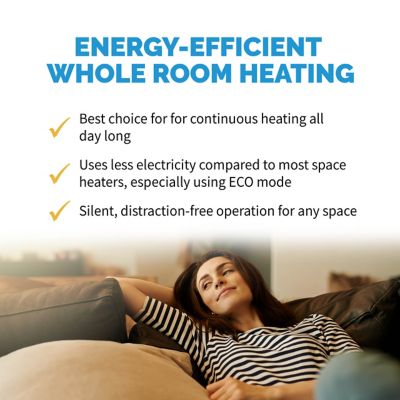 NewAir 5,120 BTU Electric Oil-Filled Radiator Space Heater, 150 sq. ft.  with Silent, Energy Efficient Operation at Tractor Supply Co.