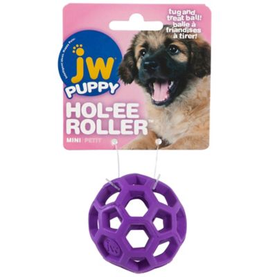 Image showing  Hol-ee Roller Dog Toy
