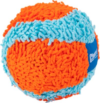 Image showing  Indoor Ball Dog Toy