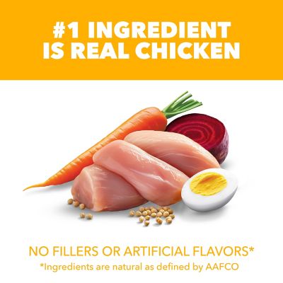 Image showing  Proactive Health Puppy Chicken and Whole Grain Recipe Dry Dog Food