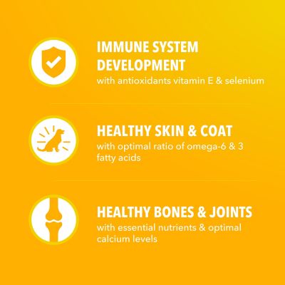 Image showing  Proactive Health Puppy Chicken and Whole Grain Recipe Dry Dog Food