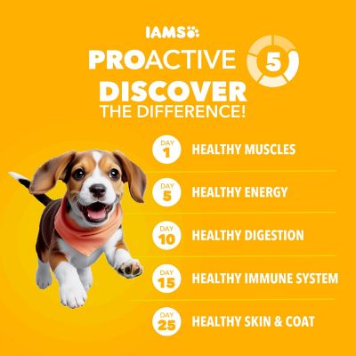 Image showing 5 th Iams Proactive Health Puppy Chicken and Whole Grain Recipe Dry Dog Food
