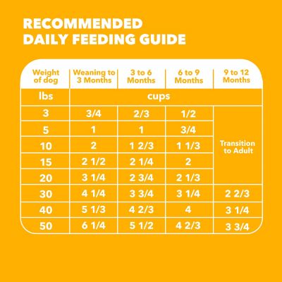 Image showing 8 th Iams Proactive Health Puppy Chicken and Whole Grain Recipe Dry Dog Food