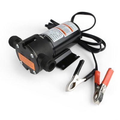 Image showing  1/12 HP Lightweight 12V DC Utility Pump