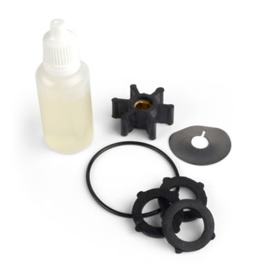 Image showing  1/12 HP Lightweight 12V DC Utility Pump