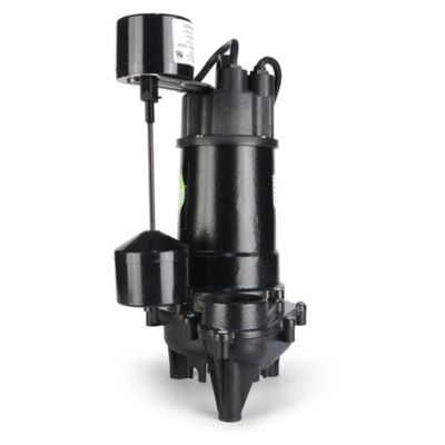 Image showing  1/3 HP Cast-Iron Sump Pump with Vertical Switch