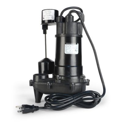 Image showing 6 th ECO-FLO Products Inc. 1/3 hp Cast-Iron Sump Pump with Vertical Switch