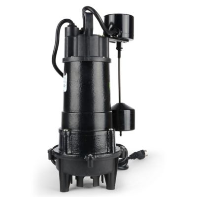 Image showing 7 th ECO-FLO Products Inc. 3/4 hp 115V Electric Cast Iron Sump Pump with Vertical Switch, 6,000 GPH