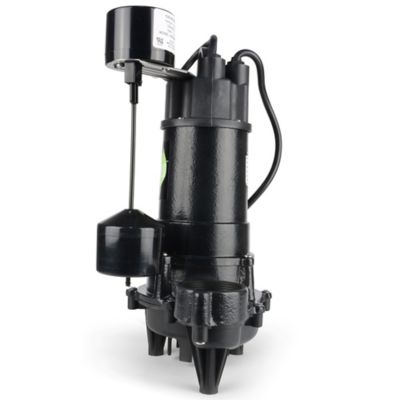 Image showing 8 th ECO-FLO Products Inc. 3/4 hp 115V Electric Cast Iron Sump Pump with Vertical Switch, 6,000 GPH