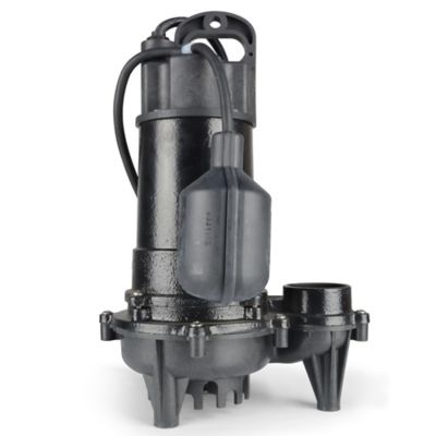 Image showing 5 th ECO-FLO Products Inc. 1/3 hp Cast-Iron Sump Pump with Wide-Angle Switch