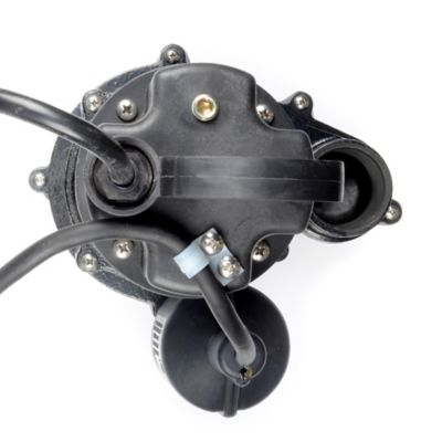 Image showing 7 th ECO-FLO Products Inc. 1/3 hp Cast-Iron Sump Pump with Wide-Angle Switch