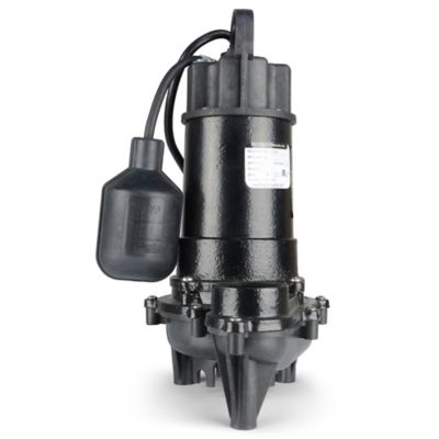Image showing 6 th ECO-FLO Products Inc. 1/2 hp 115V Electric Cast Iron Sump Pump with Wide-Angle Switch, 4,400 GPH