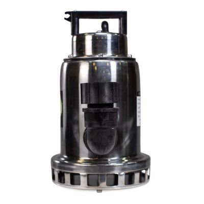 Image showing  115V Electric Stainless Steel Utility Water Pump, 3,000 GPH, SEP75M