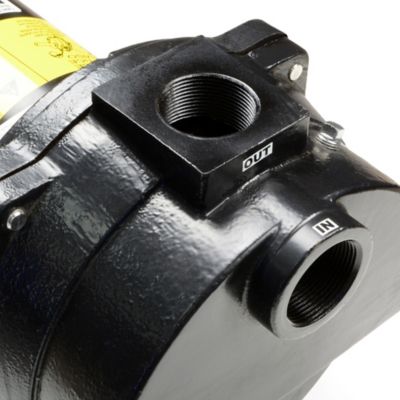 Image showing  2 HP 115/230V Electric Cast Iron Irrigation Pump, 70 GPM, EFLS20