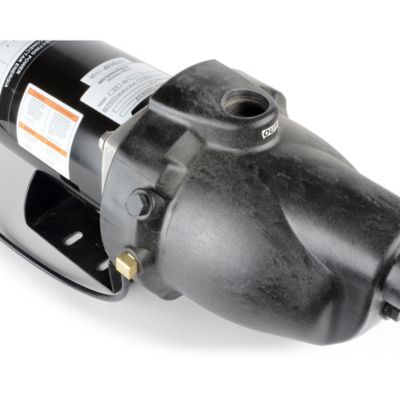 Image showing  3/4 HP 115/230V Electric Shallow Well Jet Pump, 16 GPM, Plastic