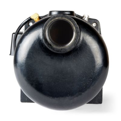 Image showing 6 th ECO-FLO Products Inc. 1 HP 115/230V Electric Shallow Well Jet Pump, 14.7 GPM