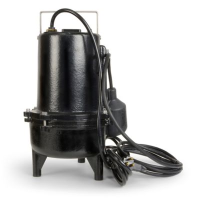 Image showing 5 th ECO-FLO Products Inc. 6/10 hp 115V Electric Sewage Pump, 8,400 GPH