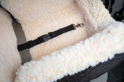 Image showing  Lookout Pet Car Seat Replacement Strap, Black