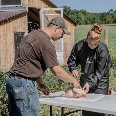 Image showing 8 th Yardbird Chicken Plucker