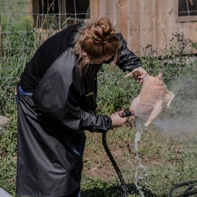 Image showing 9 th Yardbird Chicken Plucker