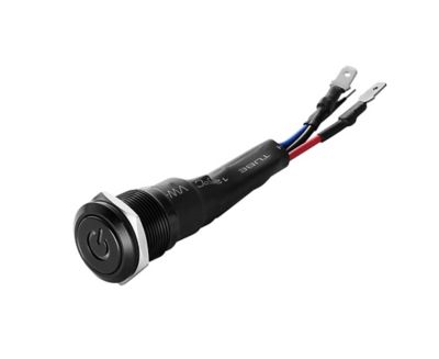 Image showing  10A Lighted LED Switch, 12VDC