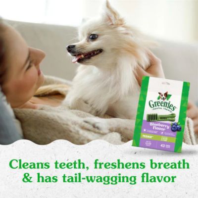 Image showing  TEENIE Natural Dog Dental Care Chews Oral Health Dog Treats Blueberry Flavor, 12 oz.