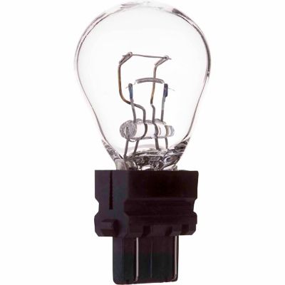 Blazer International 3157LL Long Life S8 Replacement Trailer Light Bulbs, Clear, 2-Pack