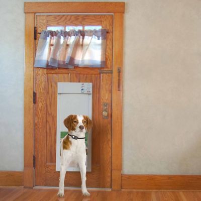 High Tech Pet Power Pet Door For Door and Wall Installations, Large - Petco