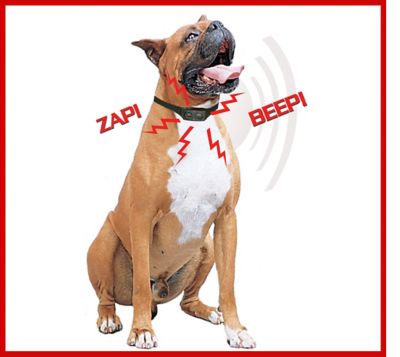 Image showing  Bark Terminator 3 Multi-Mode Micro Bark Control Dog Collar for Dogs with 30 in. Necks or Smaller