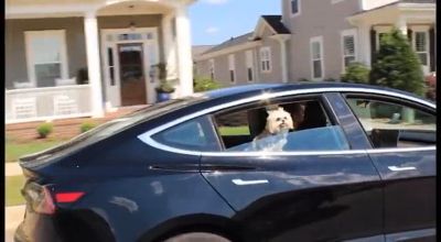 Image showing  Lookout I Luxury Pet Car Seat with Removable Pillow, 37044, 1