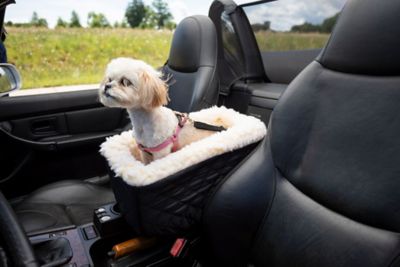 Center console pet outlet seat