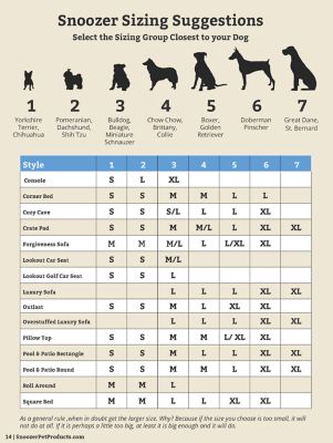 Image showing  Console Pet Car Seat