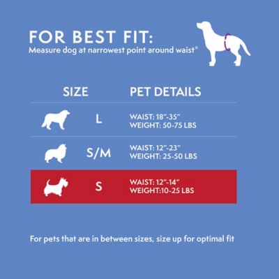 Image showing  Male Small Reusable Dog Wrap