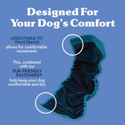 Image showing  Male Medium Reusable Dog Wrap