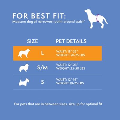 Image showing  Male Large Reusable Dog Wrap