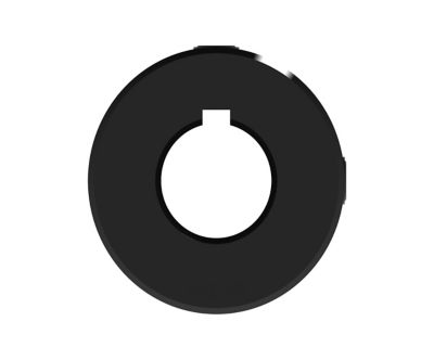 Image showing  3/4 in. W Series Hub for Sprocket or Pulley, Round Bore with Keyway and Set Screws