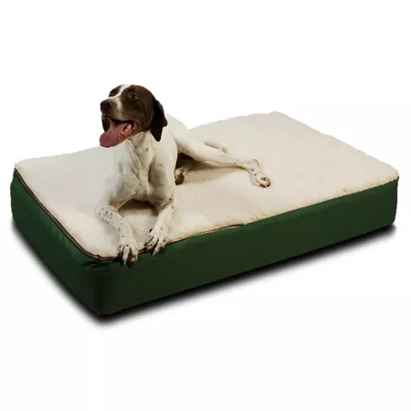 Snoozer Super Orthopedic Lounge Mattress Dog Bed Orthopedic Dog Beds