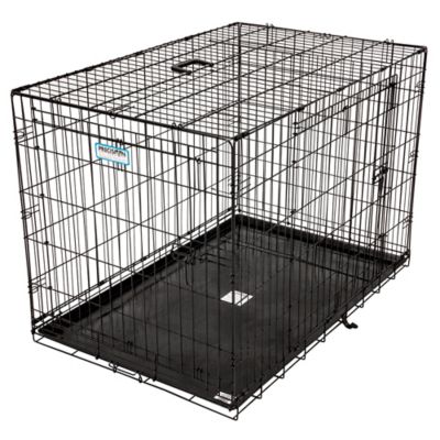 Precision Pet Products ProValu 2-Door Wire Pet Crate