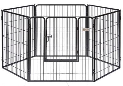 Precision Pet Products 38 in. Courtyard Pet Kennel