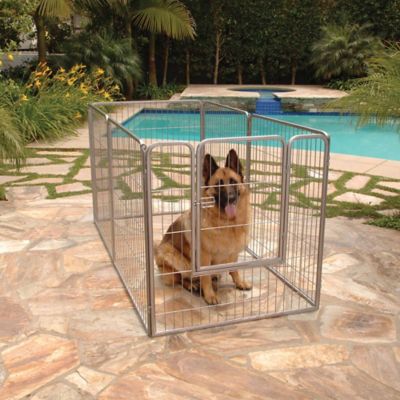Image showing  Outdoor Courtyard Pet Kennel, 38 in.