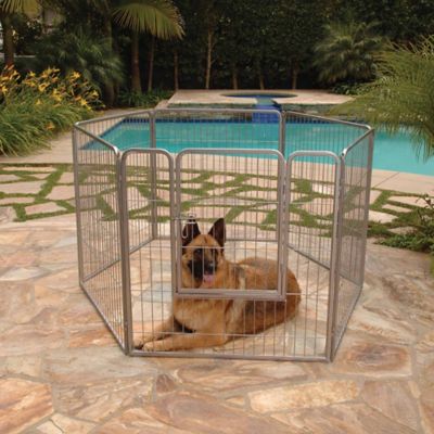 Image showing  Outdoor Courtyard Pet Kennel, 38 in.