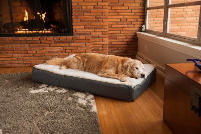 Snoozer Super Orthopedic Lounge Mattress Dog Bed