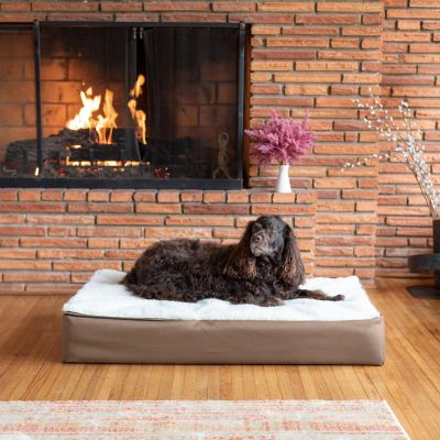 Image showing  Super Orthopedic Lounge Mattress Dog Bed