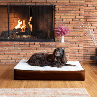 Snoozer Super Orthopedic Lounge Mattress Dog Bed