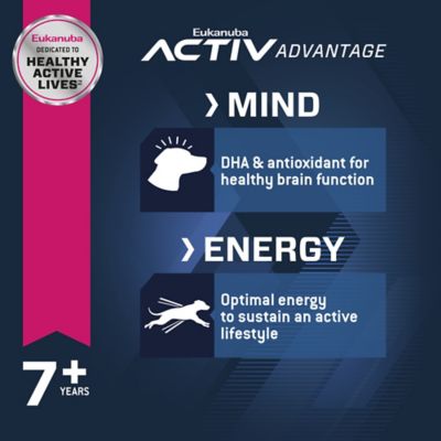 Image showing  Senior Small Breed Chicken Formula Dry Dog Food