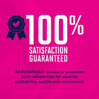 Image showing 9 th Eukanuba Senior Small Breed Chicken Dry Dog Food