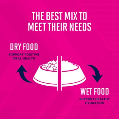 Image showing  Puppy Small Breed Chicken Formula Dry Dog Food