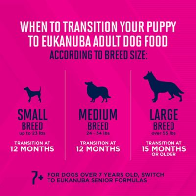 Image showing 5 th Eukanuba Puppy Small Breed Chicken Dry Dog Food
